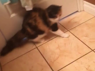 *