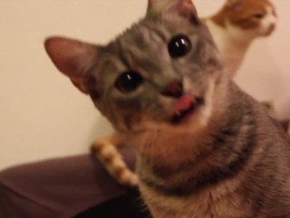 *