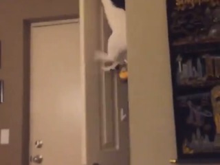 *