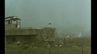 La guerre d'Algérie