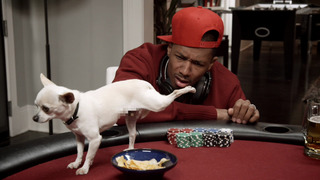 Real Husbands of Hollywood - Saison 2