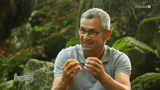Une vie de bêtes