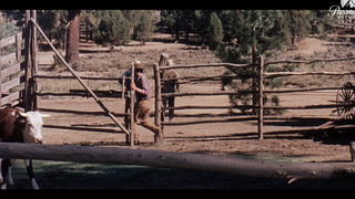 Le Ranch maudit