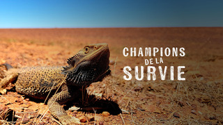 Champions de la survie