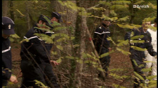 Section de recherches