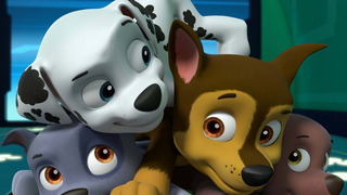La Pat'Patrouille et le petit loup blanc / L'explorateur égaré