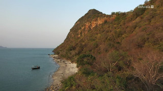 Les singes qui voulaient voir la mer