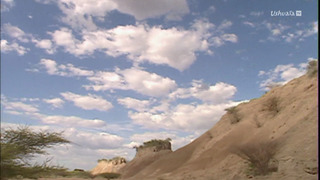 Opération Okavango
