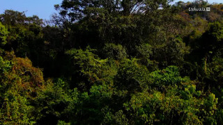 Merveilles de la nature