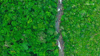 Cano Cristales, la rivière arc-en-ciel