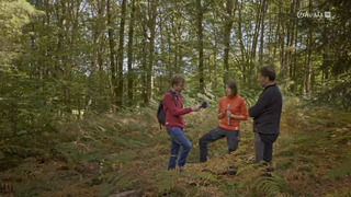 Forêts françaises en quête d'avenir