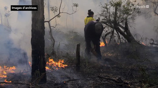 Australie, une saison en enfer