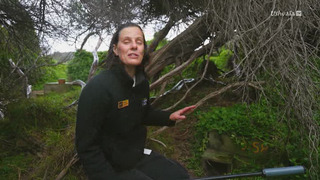 SOS faune sauvage - Australie
