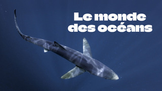 Le monde des océans