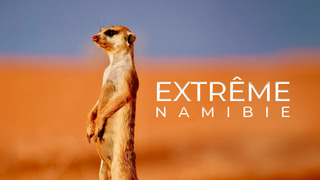 Extrême Namibie