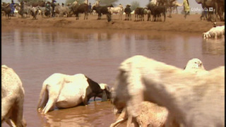 Opération Okavango