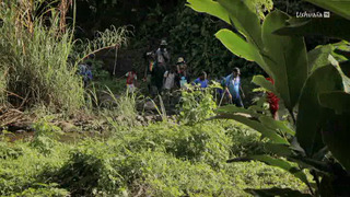 Vanuatu, l'éveil des chefs