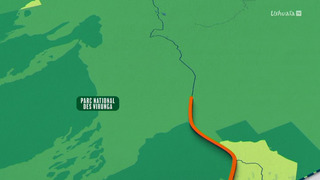 Congo : menace sur la forêt tropicale