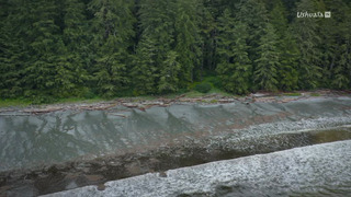 Les îles, laboratoires de la nature
