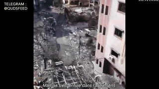 Kill Zone : au coeur de Gaza