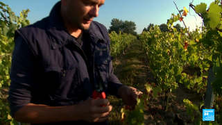 FRMG VEI VENDANGES 251024 -2026-- Ep 8