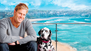 Le vétérinaire de Bondi beach