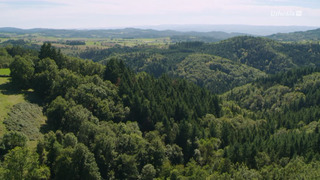 L'écologie près de chez nous
