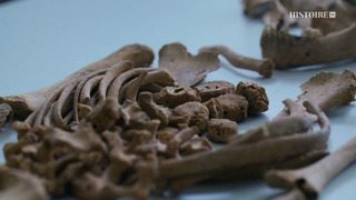 Terre de vampires