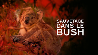 Sauvetage dans le bush