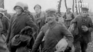 La Première Guerre mondiale en chiffres