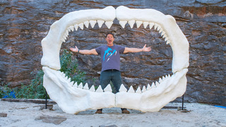 Prédateurs meurtriers