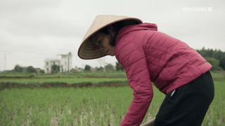 Vietnam, la naissance d'une nation