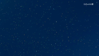 Cinquante nuances de requins