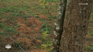 Des trains pas comme les autres