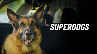Super Dogs