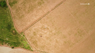 Son Doong : la plus grande grotte du monde