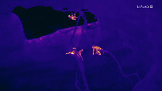 Afrique, les trésors cachés de la nature - Au coeur du volcan