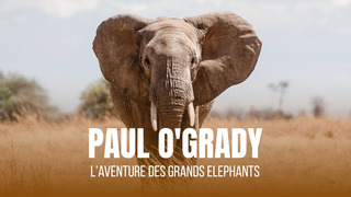 Paul O'Grady : l'aventure des grands éléphant
