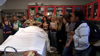 Reno 911! - Saison 5