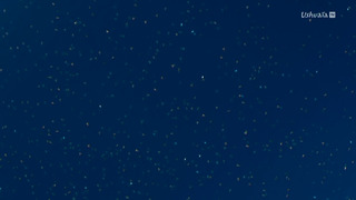 Cinquante nuances de requins