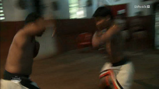 Des trains pas comme les autres