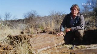 Planète Terre : l'aventure de la vie