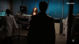 Les experts : Manhattan