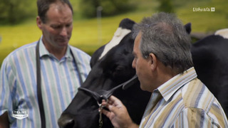 Des trains pas comme les autres