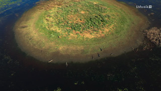 Le Pantanal brésilien