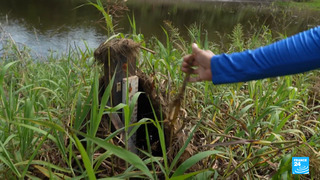 FRMG REPORTERS BRESIL COP 251108 -2026-- Ep 8