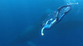 Une année en Afrique, Best of