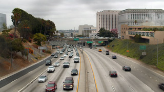 Skindigenous : tatouages et traditions