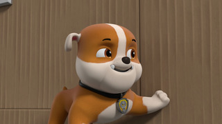 La Pat' Patrouille - Saison 8