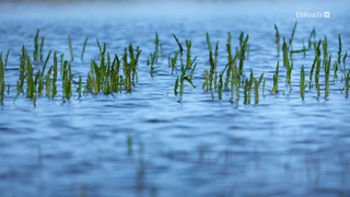 Des royaumes de terre et d'eau